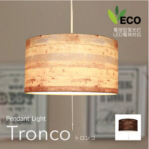 y_gCg TRONCO gR 2 VƖ z ؖڃvg rO _CjO LEDΉ dt CeAƖ([J[As)