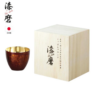  V[} {h 2d\ۂ 1q 58ml Ԏ  { V[}Jbv Rbv  H j Mtg v[g([J[Asj