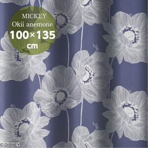 X~mG fBYj[ ~bL[ IILCAll J[e h[v 100cm×135cm M-1183(DB) Y 1.5{q_ Ռ2 `LH EHbVu MICKEY/Okii anemone LN^[ ObY y