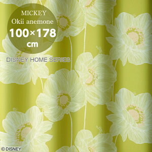 X~mG fBYj[ ~bL[ IILCAll J[e h[v 100cm×178cm M-1184(YG) Y 1.5{q_ Ռ2 `LH EHbVu MICKEY/Okii anemone LN^[ ObY y
