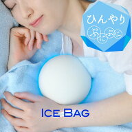 【期間限定1980円→1000円 在庫限り】アイスバック 氷嚢 シリコン 球型 エネタンポ 送料無料 水枕 保冷剤…