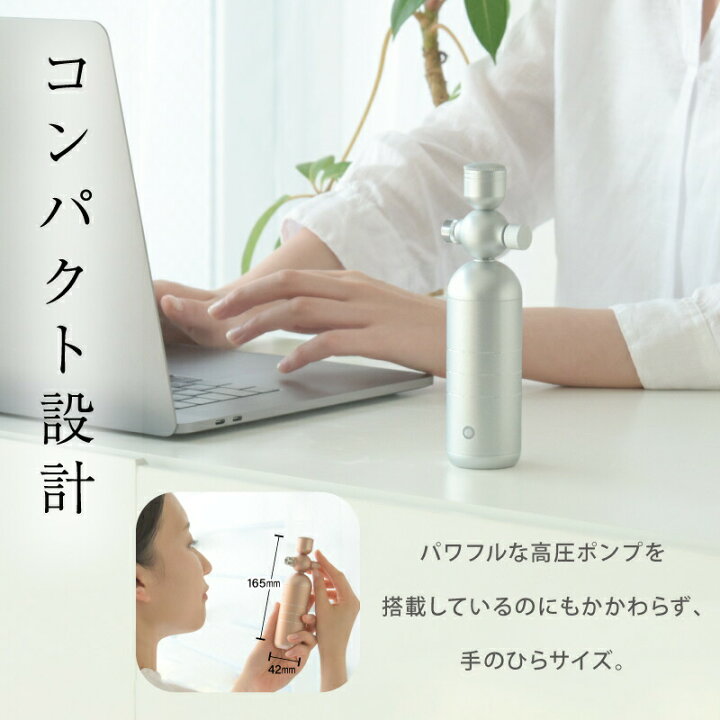 楽天市場】【P10倍+500円OFFクーポンあり】フェイスミスト 美顔器 