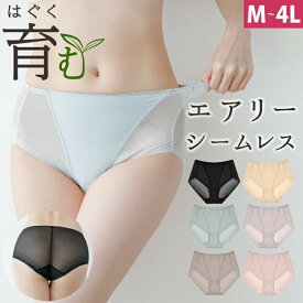 ショーツ レディース シームレスショーツ 可愛い 美尻 おしゃれ かわいい ストレスフリー セクシー インナー パンツ 20代 30代 40代 50代 M L LL 3L パンツ 下着 大きいサイズ 送料無料