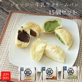 蔵家 ジャージー牛乳生クリームパン15個セット スイーツ アイス 冷凍 ギフト のし パン 誕生日 プレゼント お祝い 内祝い 出産 結婚 詰め合わせ 食べ比べ 岡山 チョコ カスタード 抹茶 2024 メッセージ 退職 卒業 入学 母の日