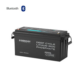 【スーパーSALE限定価格 Bluetooth内蔵】RENOGY 12V 200Ah リン酸鉄リチウムイオンバッテリー 5000回サイクル キャンピングカー サブバッテリー ソーラー発電システム 車中泊 家庭用蓄電 防災 レノジー