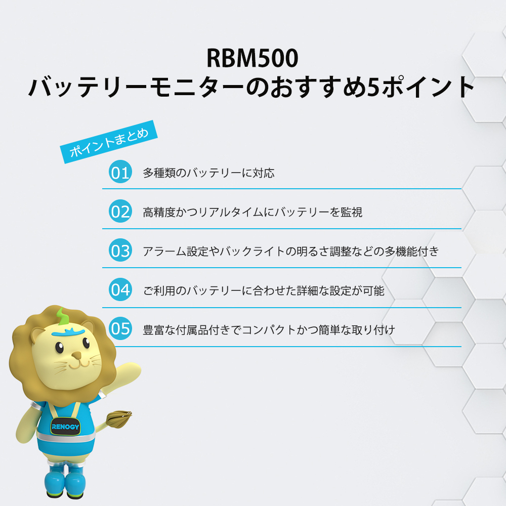 レノジー RENOGY RBM500 バッテリーモニター 電圧計＆電流計 多機能 高精度/リアルタイム監視 500Aシャント付き  電圧範囲10～120V 多種類バッテリー対応可 バッテリー 残量計 サブバッテリーモニター アラーム設定 | RENOGY JAPAN