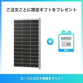 【新発売】RENOGY N型 両面発電 ソーラーパネル 100W 200W 25%変換効率 太陽光パネル 防災 停電対策 屋外 車載 キャンピングカー RV 車中泊 屋根設置 レノジー