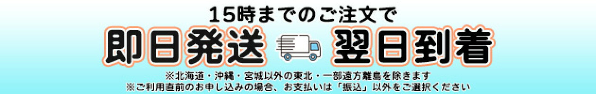 翌日到着
