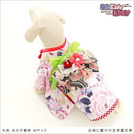 【レンタル】犬の着物 Mサイズ 小型～中型犬 女の子 振袖 帯 kmr-003 トイプードル・ミニチュアダックス ペット着物 歩きやすい 簡単 往復送料無料 高級生地 かわいい 結婚式 七五三 フォトウェディング 初詣 お誕生日 撮影会 家族写真 人気「白地に慶びの吉祥麗花帯」