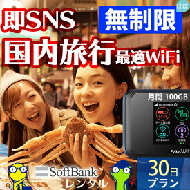 WiFi レンタル 30日 即日発送 レンタルwifi レンタルWi-Fi レンタルワイファイ wifiレンタル Wi-Fiレンタル ワイファイレンタル wi-fi ワイファイ 国内 ポケットwifi ポケットWi-Fi ポケットワイファイ 入院 旅行 一時帰国 sim モバイルWiFi 1ヶ月 501 ソフトバンク50GB 空港