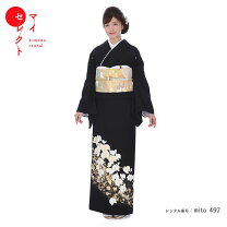 楽天市場】胡蝶蘭 帯の通販 