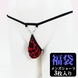 【3枚セット】「1000円ポッキリ メール便 送料無料 セクシー福袋☆ 中身はお楽しみ メンズ men's セクシーショーツ3枚福袋 」セクシーランジェリー セクシー下着 ビキニ Tバック パンツ シースルー 過激 フリーサイズ［[3枚men-fuku]］