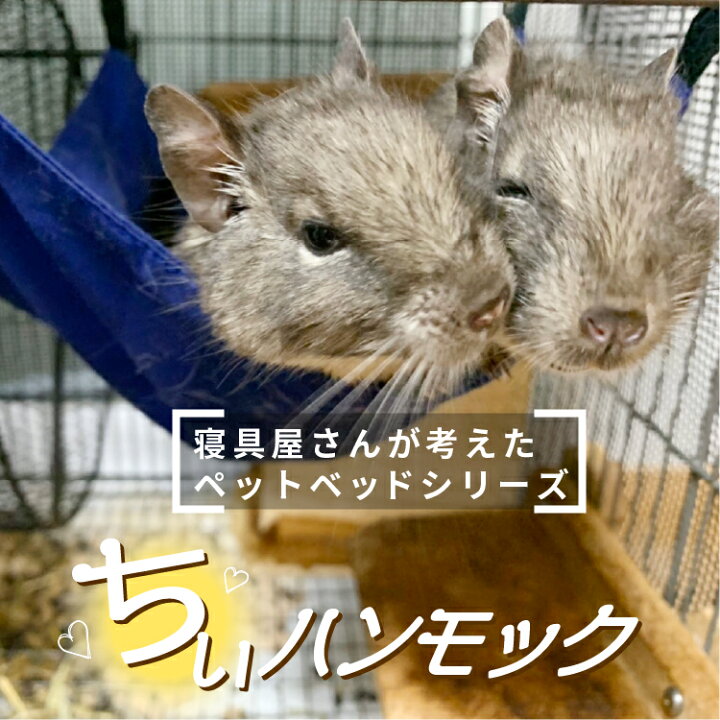 楽天市場】洗える ペットベッド (22cm・33cm)選べる金具|デグー ハリネズミ モルモット チンチラ ハムスター ネズミ モモンガ フェレット ペットベット ハンモック 小動物 スモールアニマル エキゾチックアニマル ペット ペットハンモック ペット用 ベット ベッド : 寝具 ... 楽天市場】洗える ペットベッド (22cm・33cm)選べる金具|デグー ハリネズミ モルモット チンチラ ハムスター ネズミ モモンガ フェレット ペットベット ハンモック 小動物 スモールアニマル エキゾチックアニマル ペット ペットハンモック ペット用 ベット ベッド : 寝具 ...