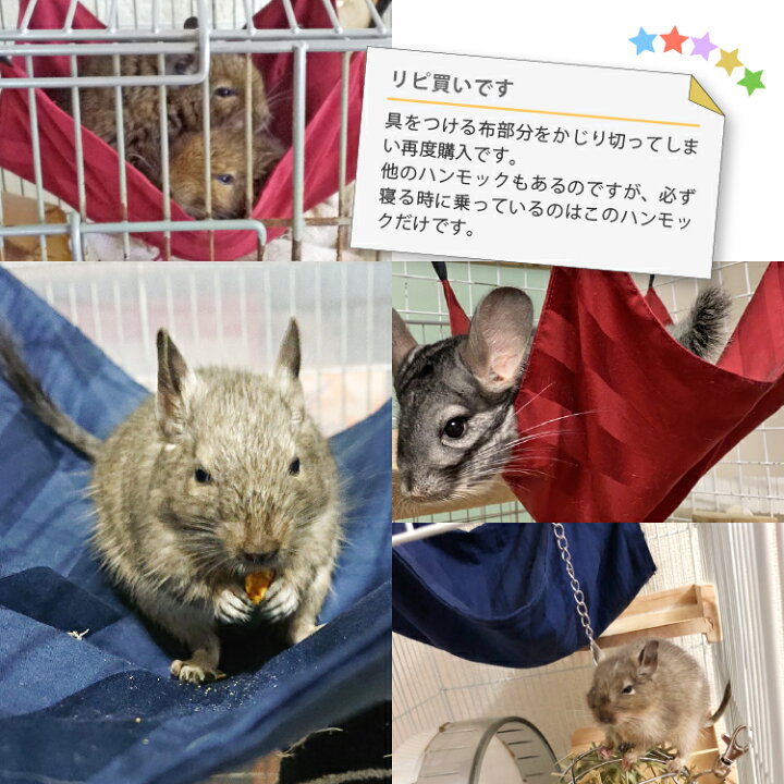 選べる8柄 ちぃハンモック 洗える 夏 金具付き アルフェス チンチラ オールシーズン 33 33cm おしゃれ 綿100 花柄 かわいい デグー 冬 サークル 日本製 選べる8柄 ちぃハンモック 洗える 夏 金具付き アルフェス チンチラ オールシーズン 33 33cm おしゃれ 綿100 花柄 かわいい デグー 冬 サークル 日本製