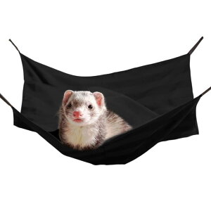  nbN 2Zbg (41×41cm) Iׂ2^Cv | tFbg 100 |Pbg gl 킢 􂦂 傫  ~ I[V[Y Q[W ybg xbh Q  qL n