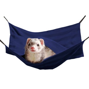  nbN (41×41cm) Iׂ2^Cv | tFbg 100 |Pbg gl 킢 􂦂 傫  ~ I[V[Y Q[W ybg xbh Q  qL nlY~ 