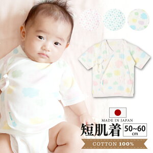 V Z 50-60  { | t 100 oY V xr[ j̎q ̎q I[V[Y 炩 _ Op 􉽊w Vv  킢 sN u[ 