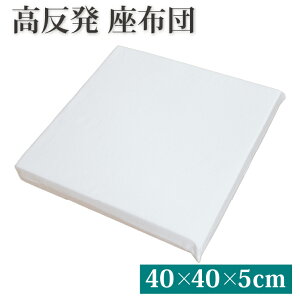  V[gNbV 40×40×5cm k[hNbV | 40×40cm  킢 NbV zc ɂ NbV HNbV ֎q \t@[ q tANbV w