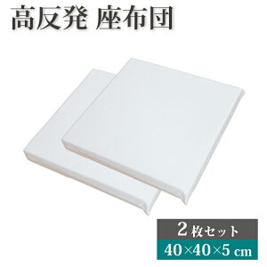  V[gNbV 2Zbg 40×40×5cm k[hNbV | 40×40cm  킢 NbV zc ɂ NbV HNbV ֎q \t@[ q tAN