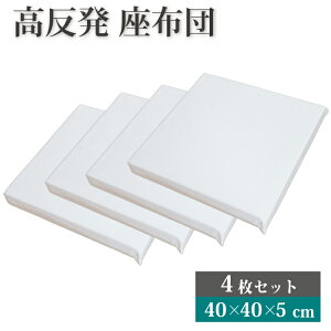  V[gNbV 4Zbg 40×40×5cm k[hNbV | 40×40cm  킢 NbV zc ɂ NbV HNbV ֎q \t@[ q tAN