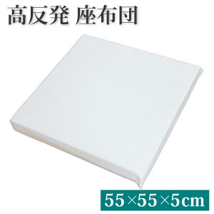 高反発 シートクッション 55×55×5cm ヌードクッション | 体圧分散 クッション 座布団 疲れにくい 高反発クッション 椅子 ソファー 子供 フロアクッション シート チェアパッド 腰痛対策 お食