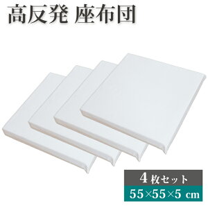  V[gNbV 4Zbg 55×55×5cm k[hNbV | 55×55cm ̈U NbV zc ɂ NbV ֎q \t@[ q tANbV V[g `FApb