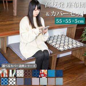  V[gNbV IbNX Jo[Zbg 55×55×5cm | 55×55cm k fj 100 􂦂  킢 ̈U NbV zc ɂ NbV q tANb