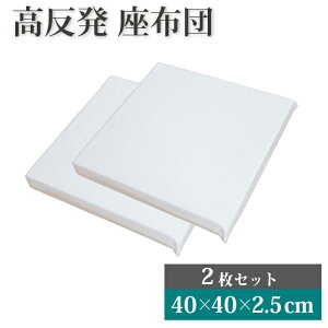  V[gNbV 2Zbg 40×40×2.5cm k[hNbV | 40×40cm NbV zc  ^ NbV ֎q \t@[ q rO tANbV ^ RpN