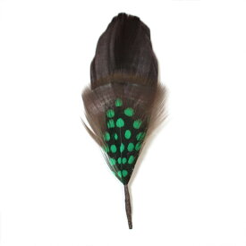 帽子 ハット用 羽飾り ブラウン×グリーン メンズ レディース 天然 鳥 羽根 フェザー F-J