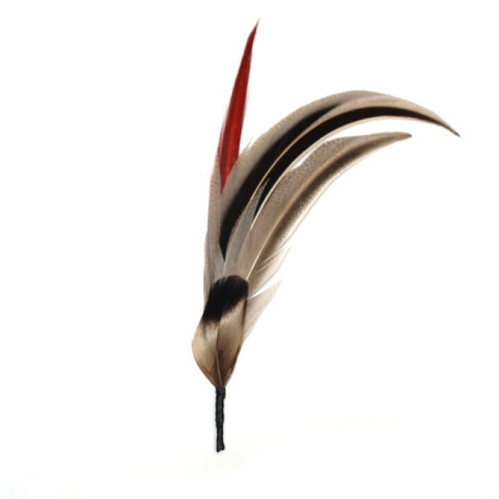 楽天市場 帽子 ハット用 羽飾り ブラック レッド ベージュ メンズ レディース 天然 鳥 羽根 フェザー F M 帽子販売店ｒｅｐｒｅｓｓｉｏｎ