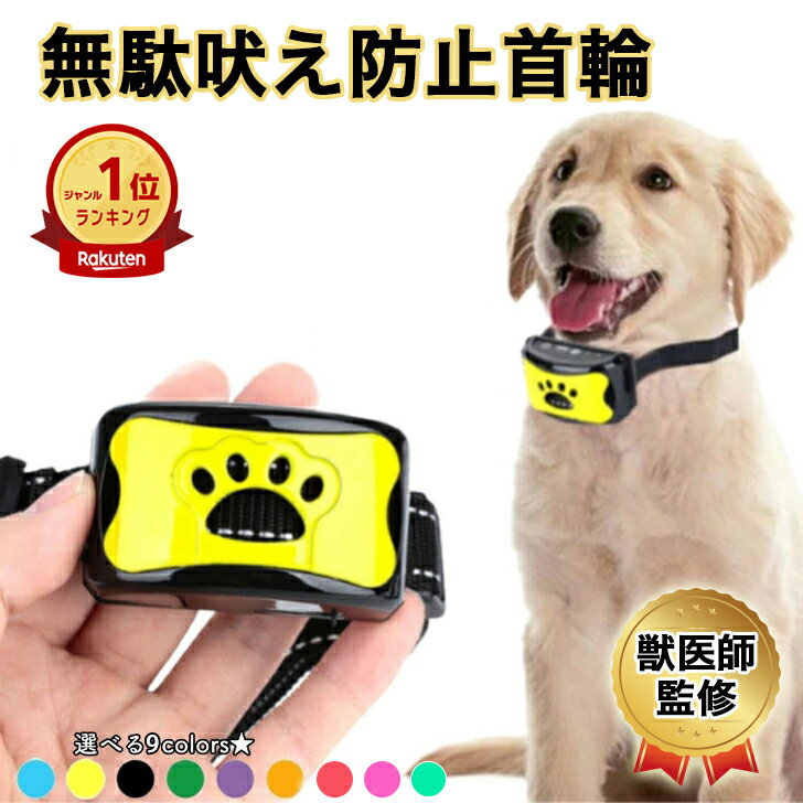 無駄吠え防止首輪を付けたゴールデンレトリーバー