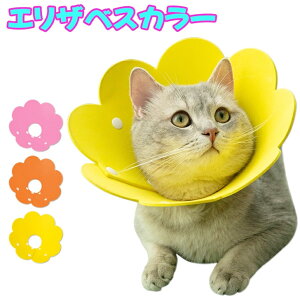 GUxXJ[ L \tg y  _炩 XgXy rߖh~  ybg GUxX  p  Lp p