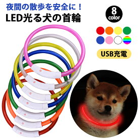 犬 首輪 光る おしゃれ 猫 柴犬 ライト リード 小型犬 中型犬 大型犬 LED 軽量 軽い 充電式 レインボー