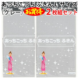 【2枚組セット】あっちこっち ふきん Lサイズ（グレー）テイジン 極細繊維 ミクロスター 洗剤なし 驚く きれい 拭く 洗う 磨く フック TEIJIN 帝人 日本製【ゆうパケット 追跡可能メール便 送料無料】【楽天ランキング第1位】【smtb-TK】