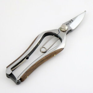 @ƏGv ORn ؓ\薜\ T-102iwalnutjzO@ORn