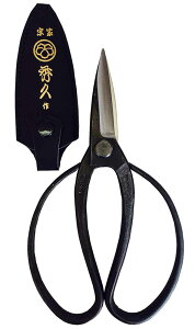 yʉizGv ORn Gv vېA؉ T-1@zO@ORn