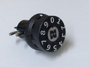 VaSMP-24p_C^e^RJpVLE Va SHINKYOWA_C SMPVLE Va SHINKYOWA  hA  C C  i p[c