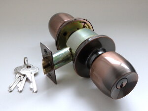 SKBbN(jbN)SKB-G25-US11(uYF)֏^Cv 3{JMt obNZbg60~U-SHINSHOWA VE ajbN ~U-SHINSHOWA VE a  hA  C