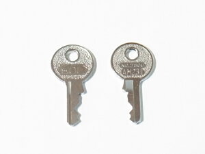 SOL(\[j2500ԓ싞20~^Cvpq̂݁uAM231vԁ@i̔1{ƂȂ܂j\[@SOL2500 L[ JM \[@SOL