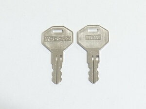 hREiYODOKO)@q@uH239vԁ@@i̔1{łjhRE@YODOKOH239ԁL[  hA  C C  i p[c