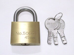 Zp5000ԃfBv싞45~^CvSEPA Zp5000G-262fBvSEPA Zp