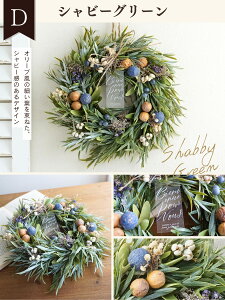 VRf i`[X M a22.5`24.5cm  hA CeA Ǐ hCt[ v[g j w  z ސE a j ސEj Vzj  Mtg  