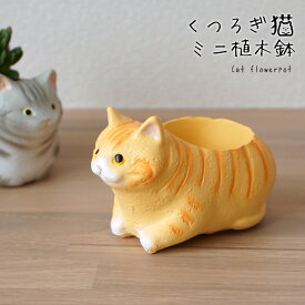 ミニ 植木鉢 くつろぎ猫 マンチカン 1個 1号ポット用鉢カバー 1寸用 プランター 穴なし かわいい 屋外 屋内 おしゃれ 植木鉢 レジン グリーンポット フラワーポット ガーデニング