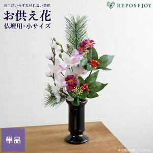  dp   u؁v TCY Pii1j AWg p [ Q  O  ~ @ ͂Ȃ    { @v tFCNt