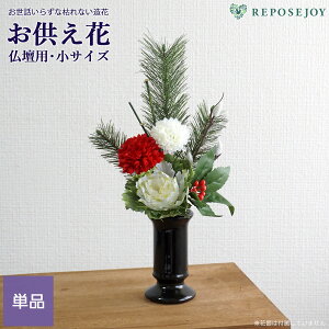  dp   uv TCY Pii1j AWg p [ Q  O  ~ @ ͂Ȃ    { @v tFCNt