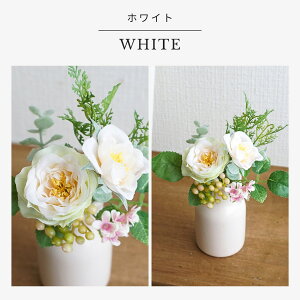   p dp  ~j I[h[Y 14cm 1{ o KN t[AWg O { 茳{  ybg tFCNt[ A[gt[  ފ