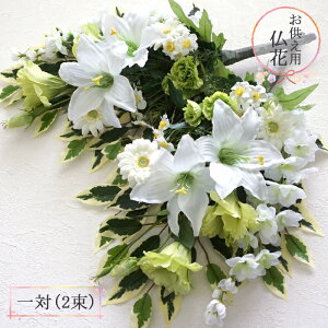 Pubtee8443rgum Pubtee8443rgum