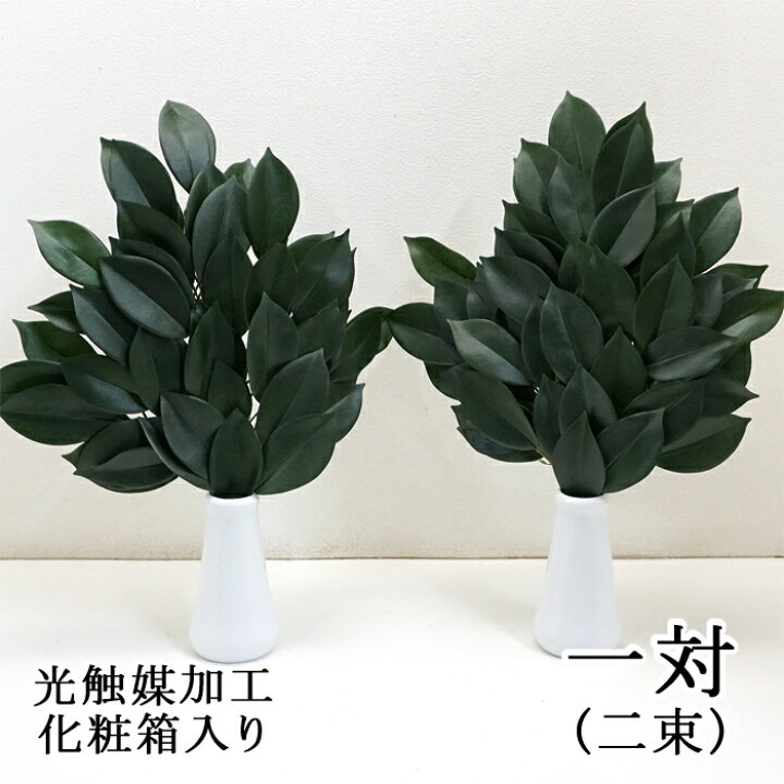 楽天市場 送料無料 枯れないオサカキ お榊 本榊 光触媒加工済み 一対 二束 化粧箱入り 1個 人工植物 造花 フェイクグリーン 神棚 榊葉 自宅 会社 オフィス 店舗 北海道沖縄へは別途送料550円 リポーズジョイ