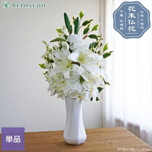   v~A JTuJ Pii1j Ӓ p d ~ ފ @  ͂Ȃ tFCNt[  i  ԑ y kCEꏜz