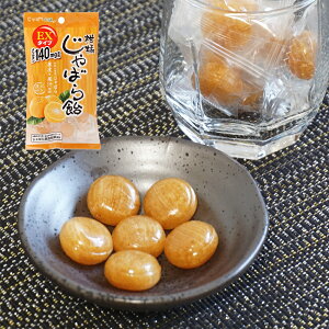 ΂{ k΂爹 EX 90g yܖ2026.9.1z a̎R Wo